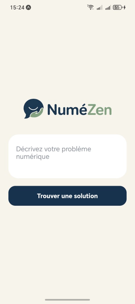 Accueil NuméZen — saisie du problème numérique